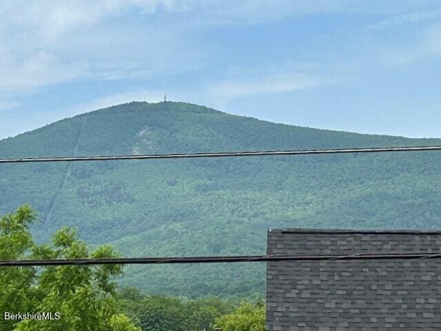 31 Richmond Ln, Adams, MA 01220 - mountain view