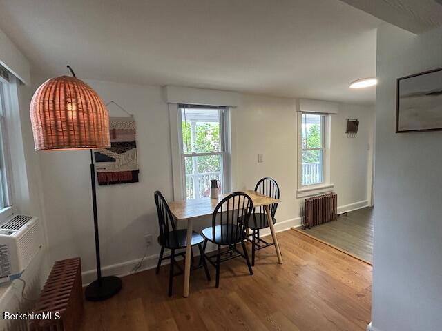 31 Richmond Ln, Adams, MA 01220 - dining space with radiator, wood finished floors, and plenty of natural light