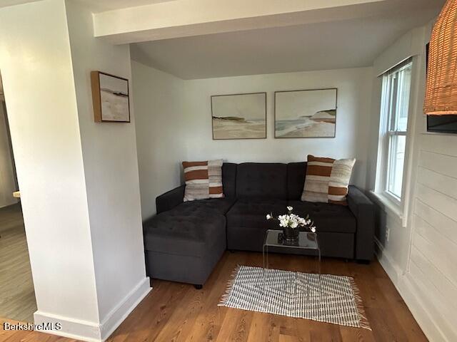 31 Richmond Ln, Adams, MA 01220 - living area featuring wood finished floors