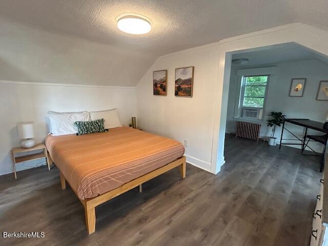 31 Richmond Ln, Adams, MA 01220 - bedroom with radiator, a textured ceiling, lofted ceiling, and wood finished floors