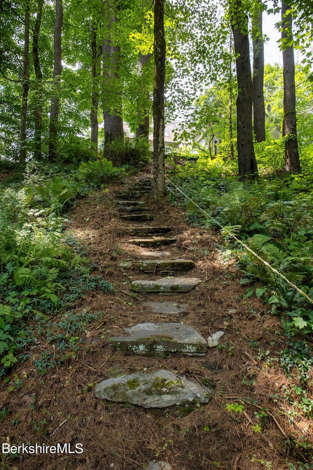 view of local wilderness