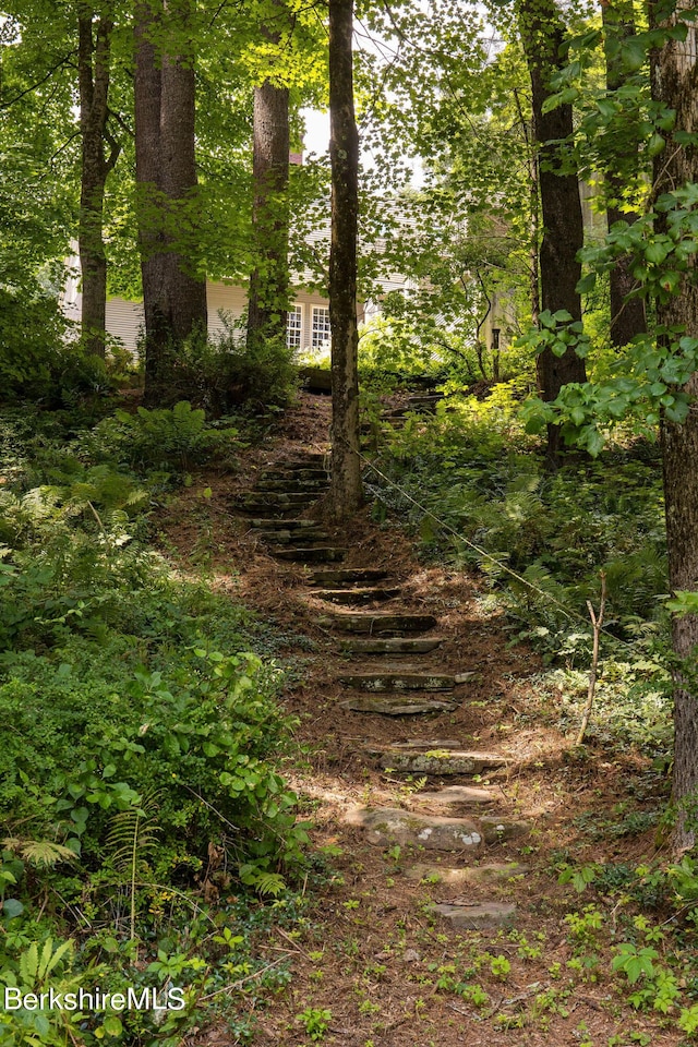 view of local wilderness