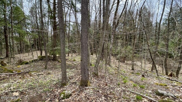 0 Jamie Ln, Sandisfield, MA 01255