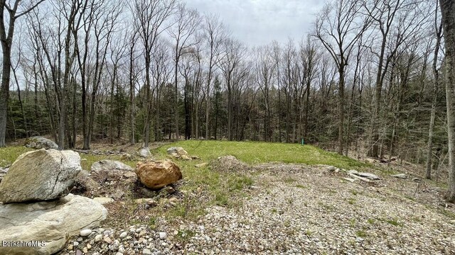 0 Jamie Ln, Sandisfield, MA 01255