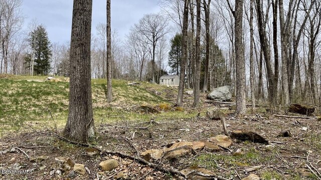 0 Jamie Ln, Sandisfield, MA 01255