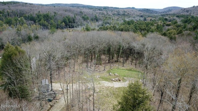 0 Jamie Ln, Sandisfield, MA 01255