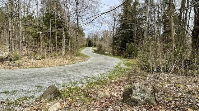 0 Jamie Ln, Sandisfield, MA 01255