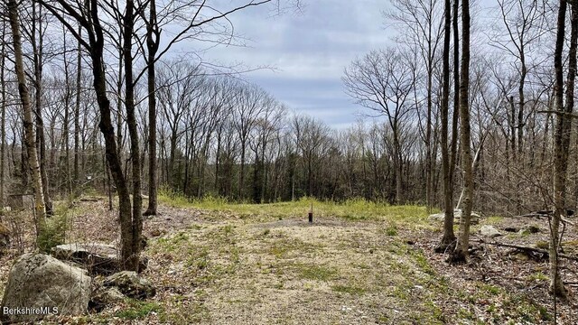 0 Jamie Ln, Sandisfield, MA 01255