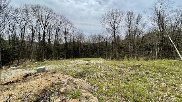 0 Jamie Ln, Sandisfield, MA 01255