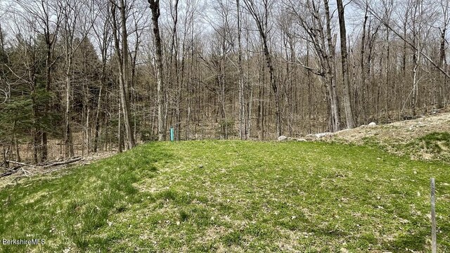0 Jamie Ln, Sandisfield, MA 01255