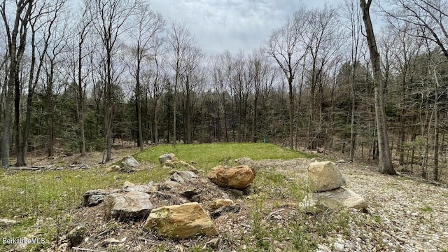0 Jamie Ln, Sandisfield, MA 01255