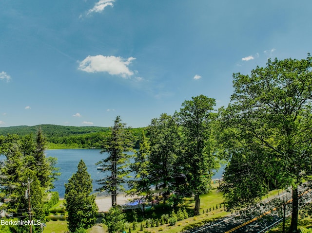 37 Shore Rd, Becket, MA 01223 - photo 2