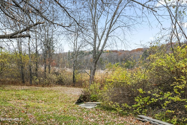 1 Pittsfield Rd, Lenox, MA 01240 - view of yard