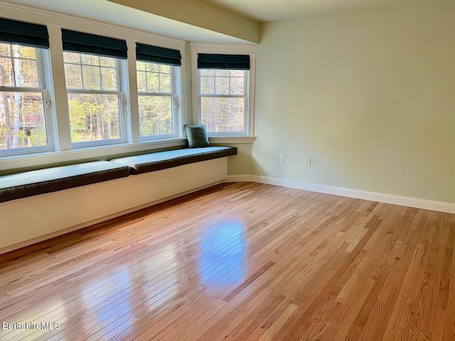 813 E St, Lenox, MA 01240 - photo 39