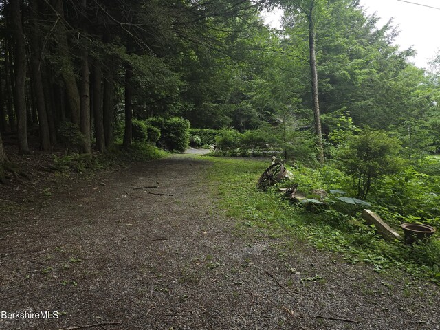 213 Brodie Mountain Rd, Hancock, MA 01237 - photo 25
