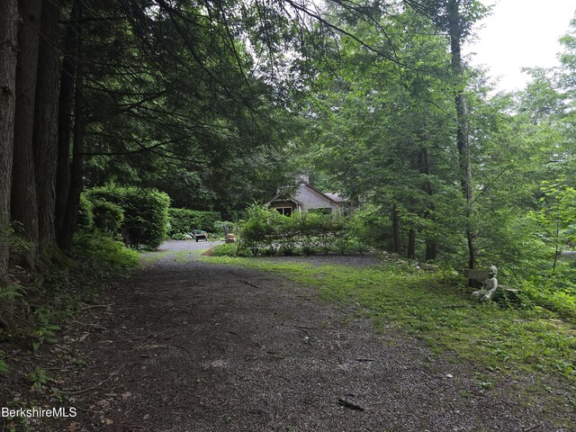 213 Brodie Mountain Rd, Hancock, MA 01237 - photo 29