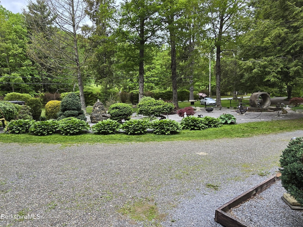 213 Brodie Mountain Rd, Hancock, MA 01237 - view of yard