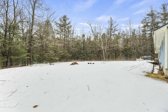 view of snowy yard