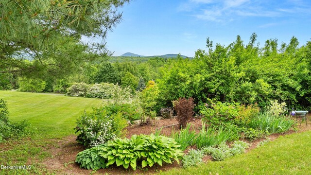24 Baldwin Hill Rd, Egremont, MA 01230