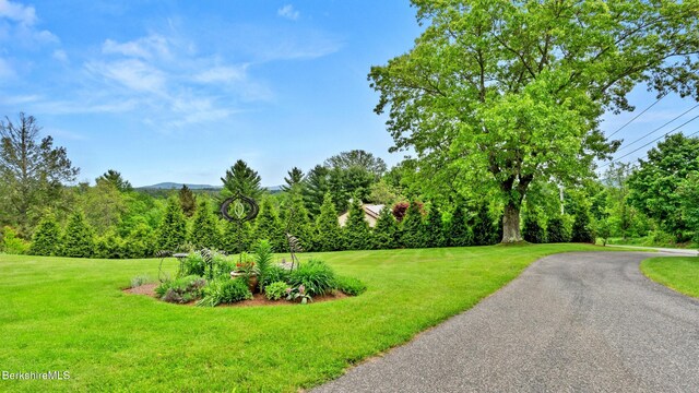 24 Baldwin Hill Rd, Egremont, MA 01230
