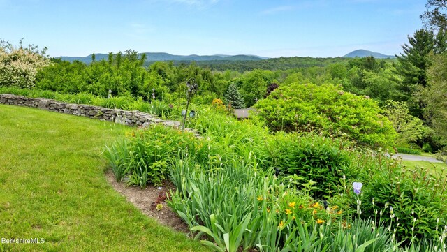 24 Baldwin Hill Rd, Egremont, MA 01230