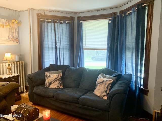 living room featuring radiator heating unit and wood-type flooring