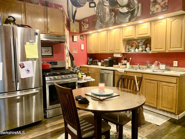 kitchen featuring sink, dark wood-type flooring, and appliances with stainless steel finishes