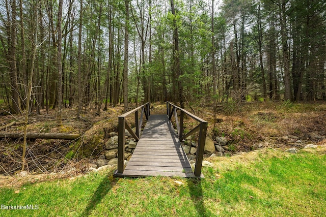 812 Canaan Southfield Rd, New Marlborough, MA 01259 - view of community with a wooded view
