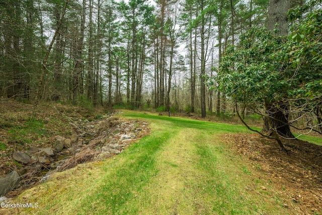 812 Canaan Southfield Rd, New Marlborough, MA 01259 - view of yard with a forest view