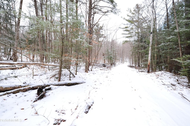 LOT72 W Center Rd, Otis MA, 01253 land for sale