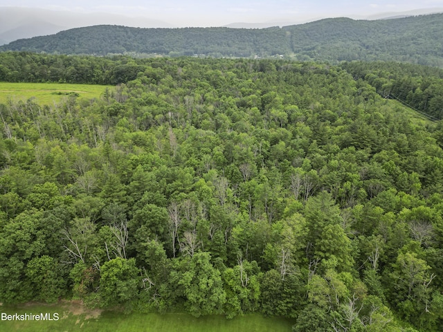 679 Middle Pownal Rd, Pownal, VT 05261 - mountain view featuring a heavily wooded area