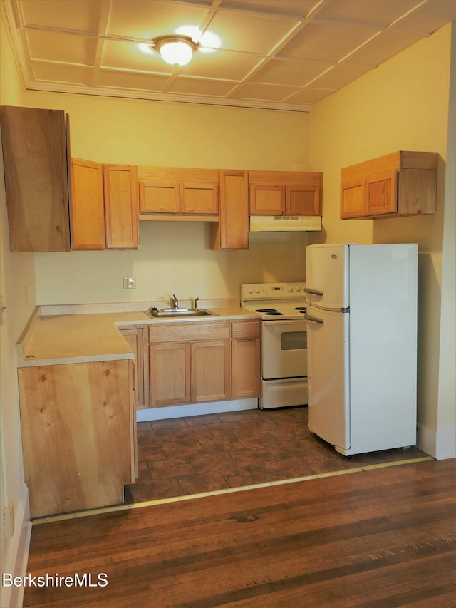kitchen featuring under cabinet range hood, white appliances, a sink, and dark wood-style flooring