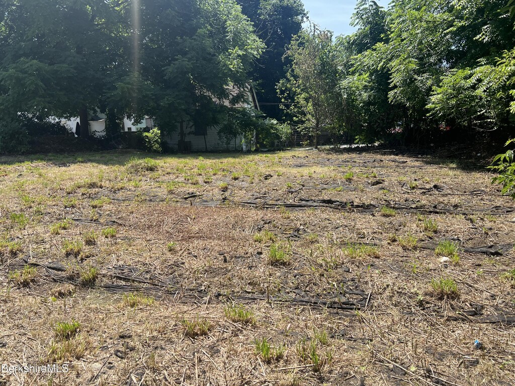 0 Linden St, Pittsfield, MA 01201 - photo 4
