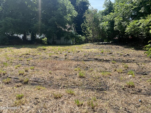 0 Linden St, Pittsfield, MA 01201 - photo 4