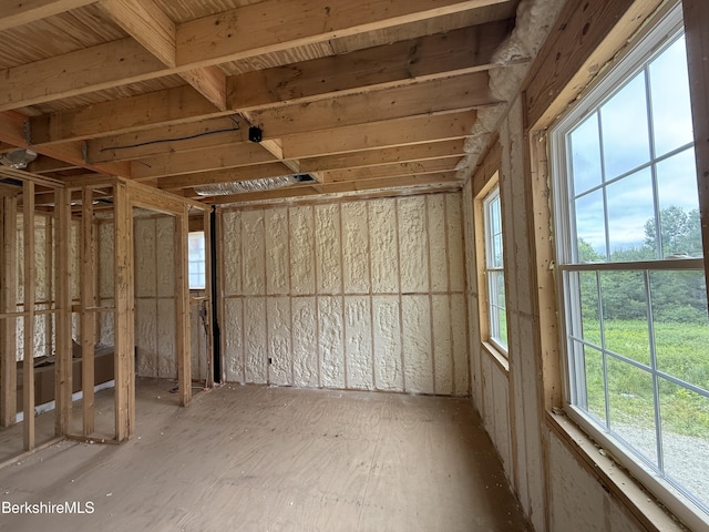 8 Northbrook Ln, Pittsfield, MA 01201 - view of storage room