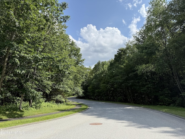 8 Northbrook Ln, Pittsfield, MA 01201 - photo 6