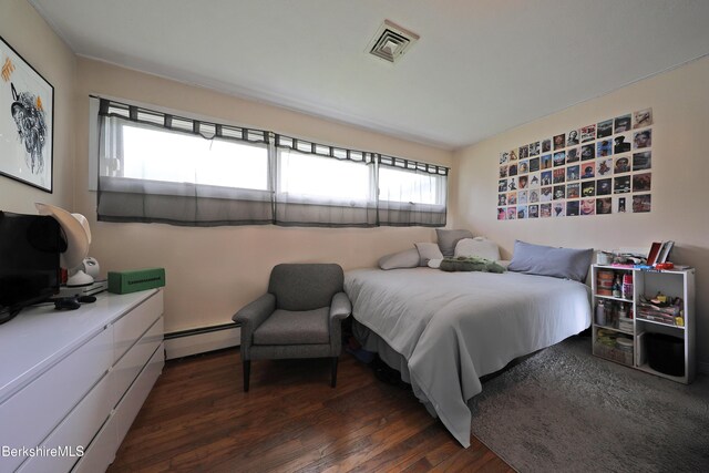 458 Monterey Rd, Great Barrington, MA 01230 - bedroom featuring a baseboard radiator and dark wood-style flooring