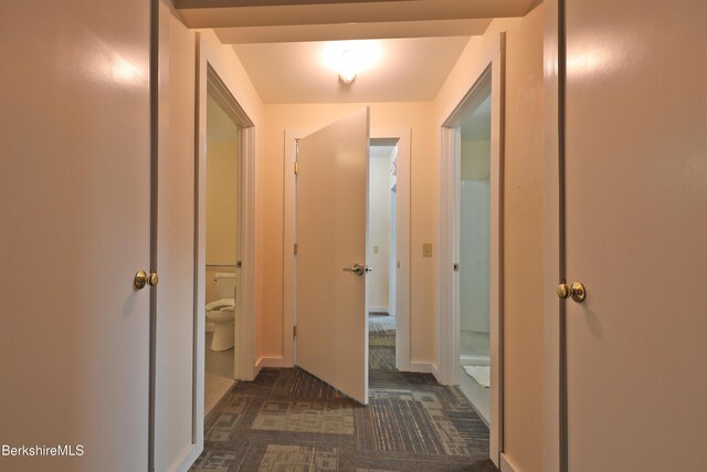 458 Monterey Rd, Great Barrington, MA 01230 - corridor with dark carpet