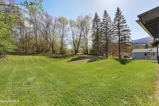 view of yard