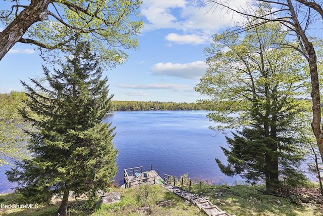667 King Richard Dr, Becket, MA 01223 - photo 2
