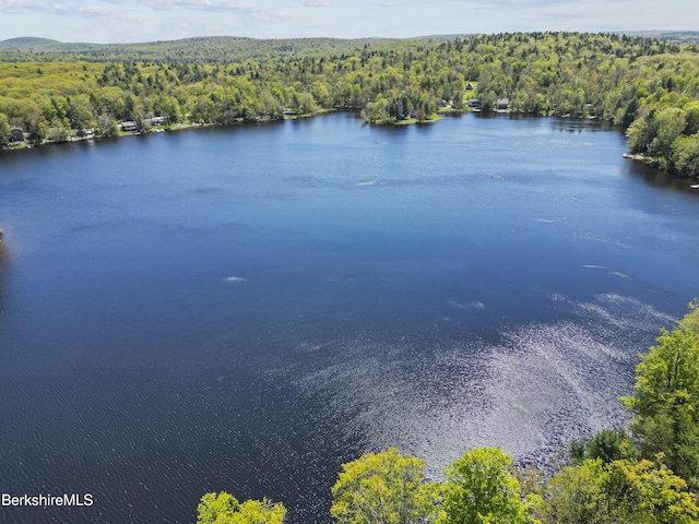 667 King Richard Dr, Becket, MA 01223 - photo 12