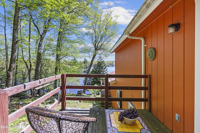 667 King Richard Dr, Becket, MA 01223 - photo 44