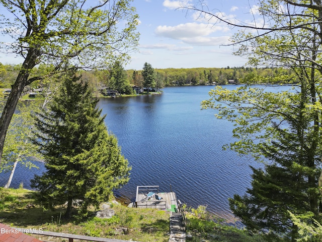 667 King Richard Dr, Becket, MA 01223 - photo 1