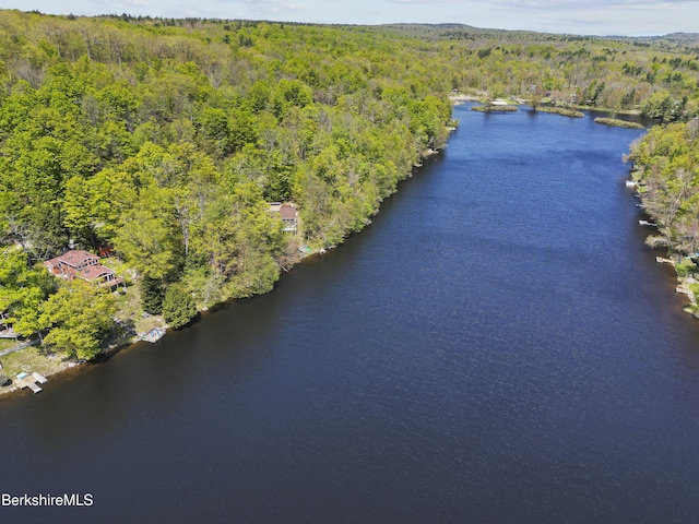 667 King Richard Dr, Becket, MA 01223 - photo 5