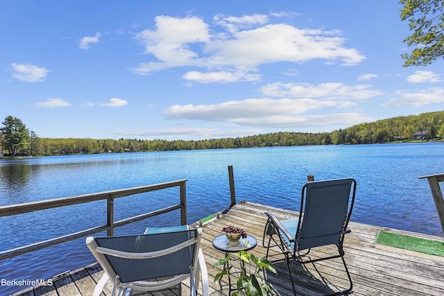 667 King Richard Dr, Becket, MA 01223 - photo 3
