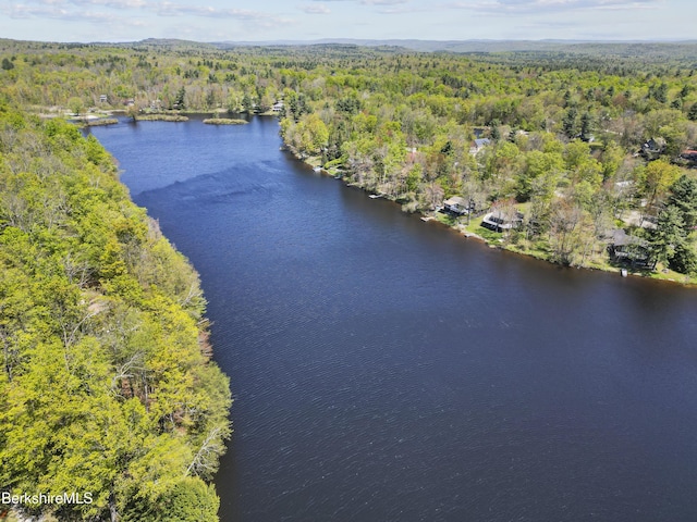 667 King Richard Dr, Becket, MA 01223 - photo 13
