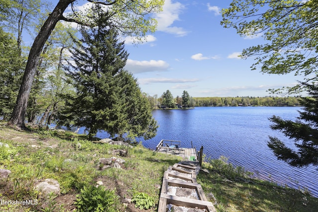 667 King Richard Dr, Becket, MA 01223 - photo 8