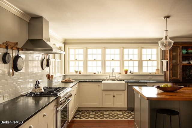 kitchen with decorative backsplash, wall chimney exhaust hood, a sink, stainless steel appliances, and a wealth of natural light