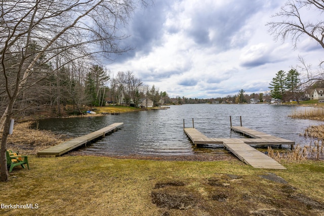 dock area with a water view