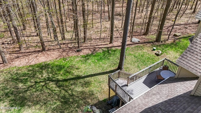 257 Mountain Rd, Lenox, MA 01240 - photo 63
